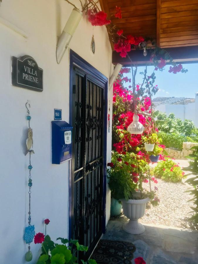 Villa Priene - Gumusluk Private Pool ภายนอก รูปภาพ