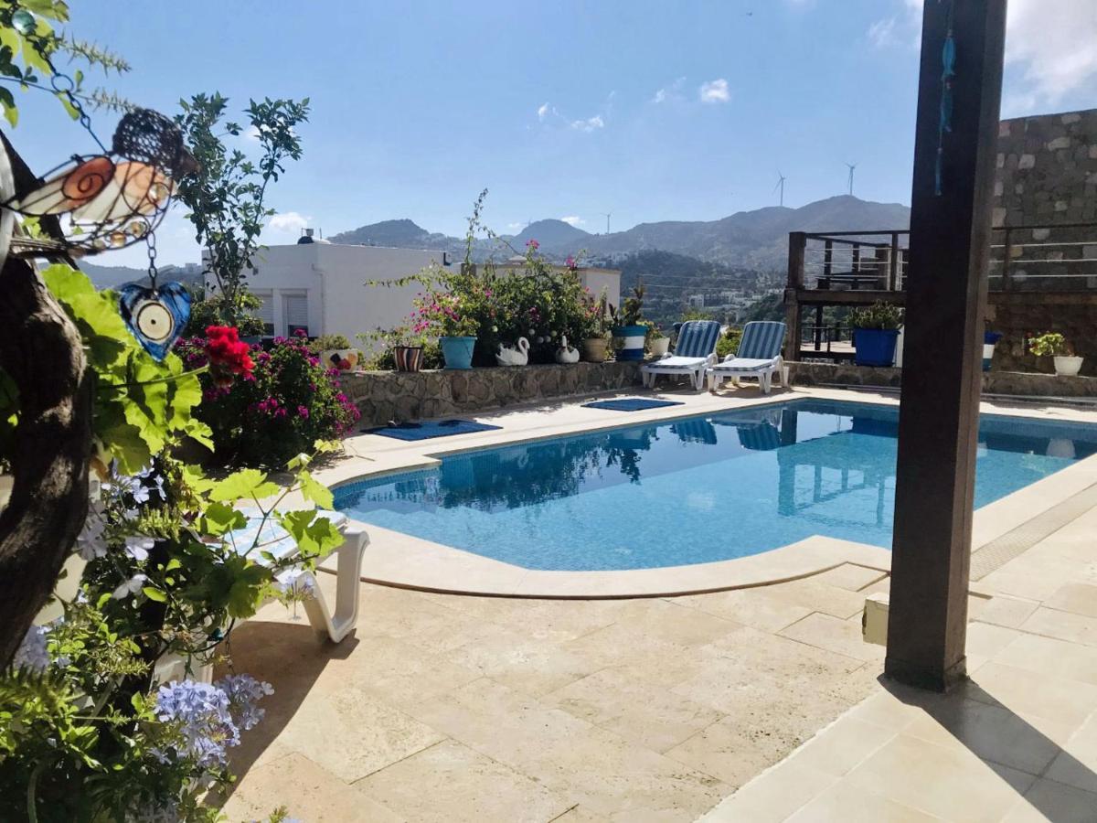 Villa Priene - Gumusluk Private Pool ภายนอก รูปภาพ