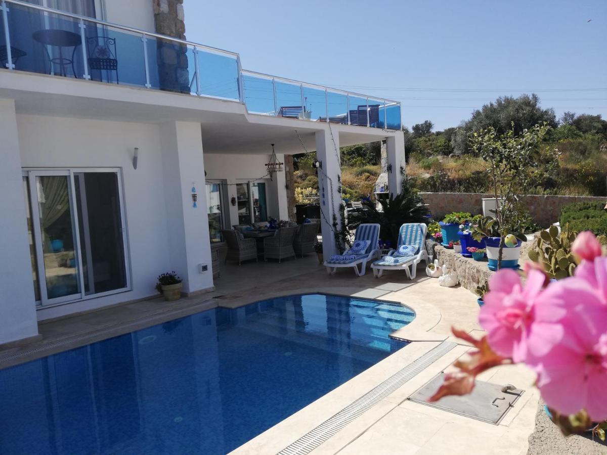 Villa Priene - Gumusluk Private Pool ภายนอก รูปภาพ