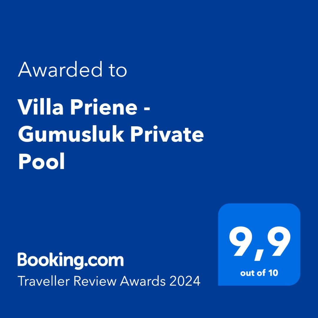 Villa Priene - Gumusluk Private Pool ภายนอก รูปภาพ
